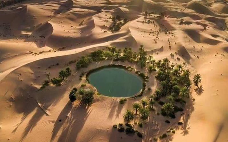 Tour of the White Desert and Bahariya Oasis